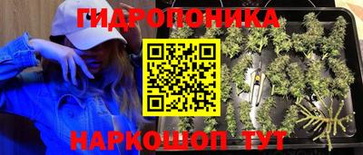 MESCALINE Сланцы