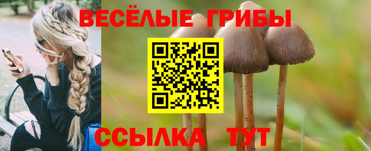 Галлюциногенные грибы MAGIC MUSHROOMS  Вход с VPN  Туапсе  Псилоцибиновые грибы Psilocybe 